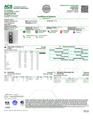 GEEK'D - THC Blend - 2-in-1 Disopsable Vapes - 2.5g