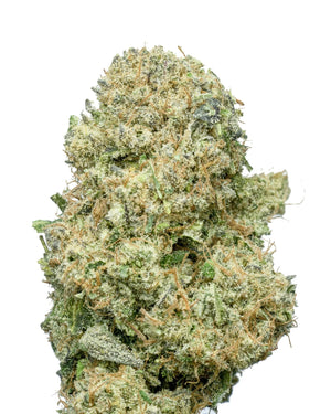 Guava Punch - Sativa - THCA Flower (3.5g)